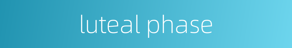 luteal phase的同义词
