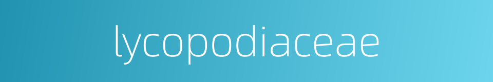 lycopodiaceae的同义词