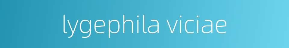 lygephila viciae的同义词