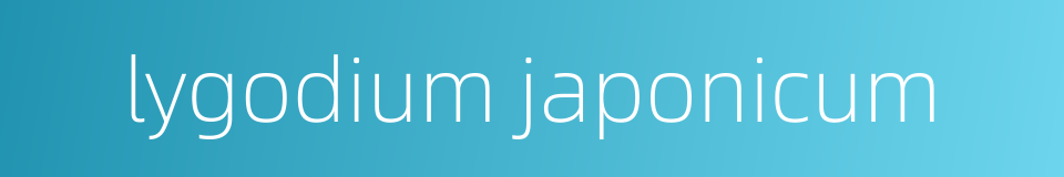 lygodium japonicum的同义词