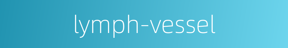 lymph-vessel的同义词
