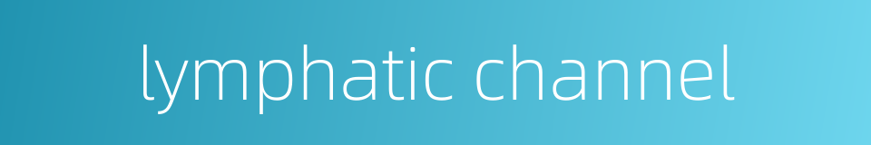 lymphatic channel的同义词
