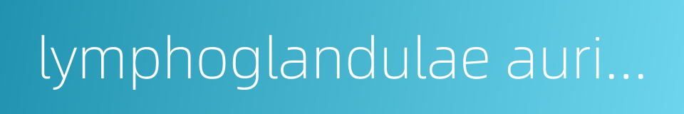 lymphoglandulae auriculares posteriores的同义词