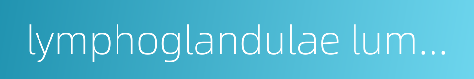 lymphoglandulae lumbales的同义词