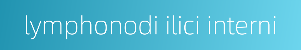lymphonodi ilici interni的同义词