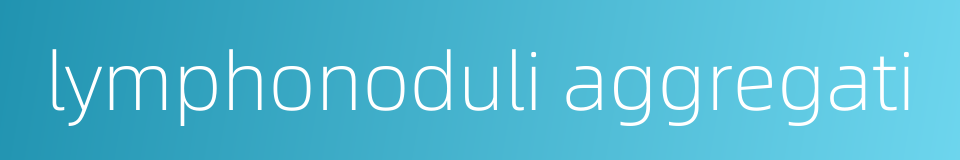 lymphonoduli aggregati的同义词