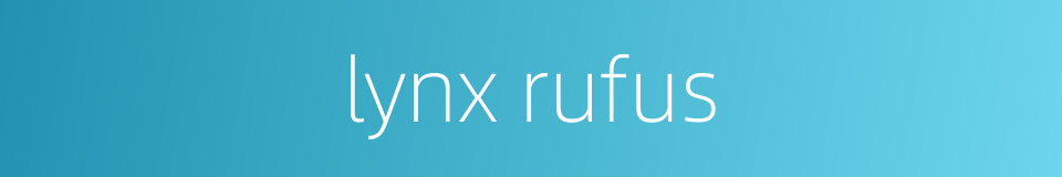 lynx rufus的同义词