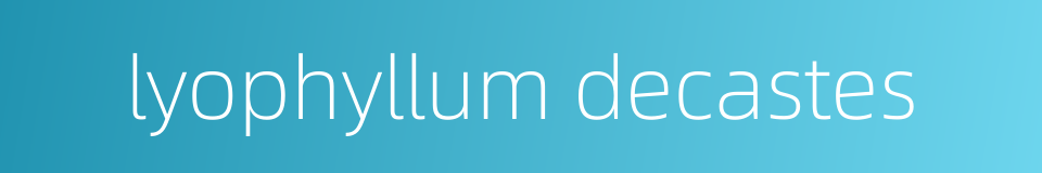 lyophyllum decastes的同义词