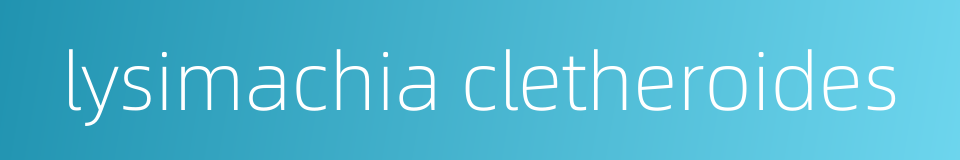 lysimachia cletheroides的同义词