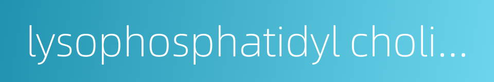 lysophosphatidyl choline的同义词