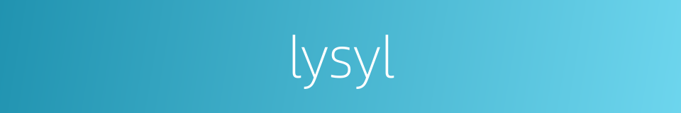 lysyl的同义词