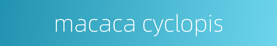 macaca cyclopis的同义词