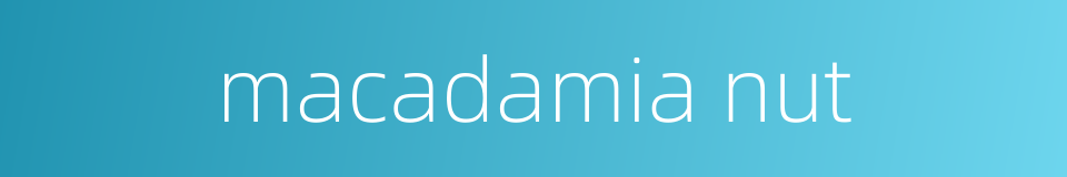 macadamia nut的同义词