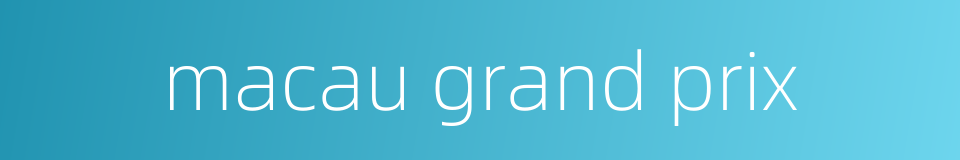 macau grand prix的同义词