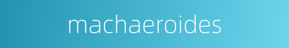 machaeroides的同义词