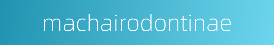 machairodontinae的同义词