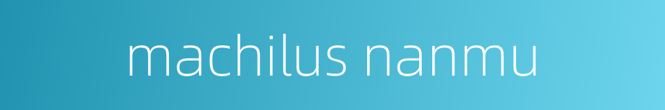 machilus nanmu的同义词