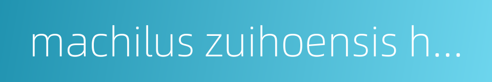 machilus zuihoensis hayata的同义词