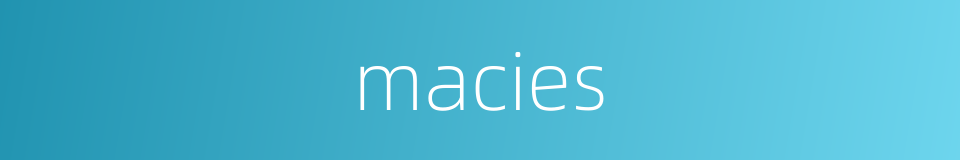 macies的同义词