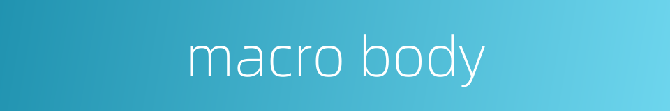 macro body的同义词