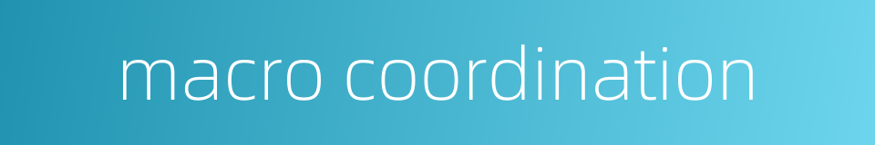 macro coordination的同义词