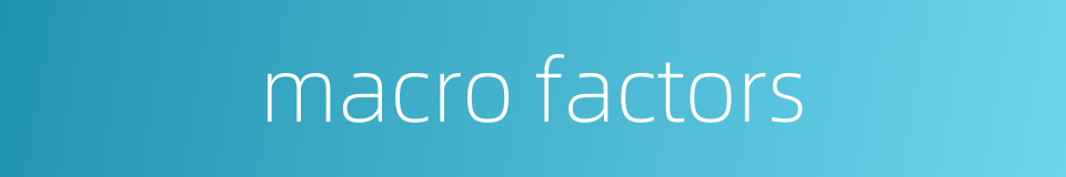 macro factors的同义词