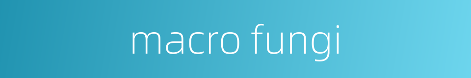 macro fungi的同义词