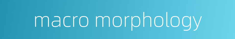 macro morphology的同义词