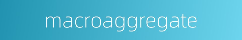 macroaggregate的同义词