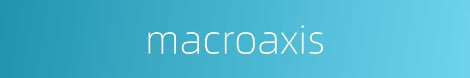 macroaxis的同义词