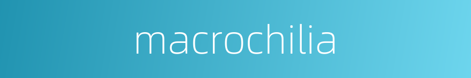 macrochilia的同义词