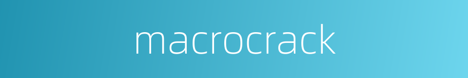 macrocrack的同义词