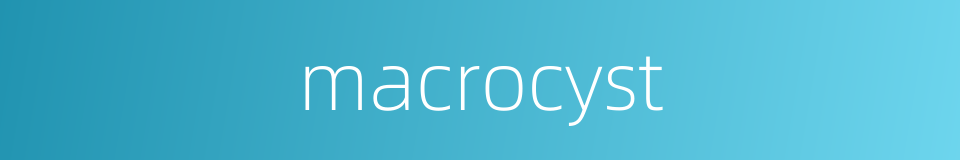 macrocyst的同义词