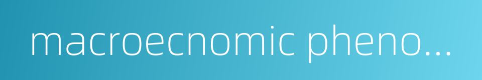 macroecnomic phenomenon的同义词