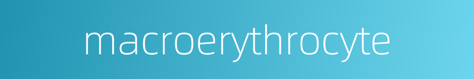 macroerythrocyte的同义词