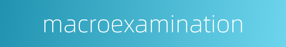 macroexamination的同义词