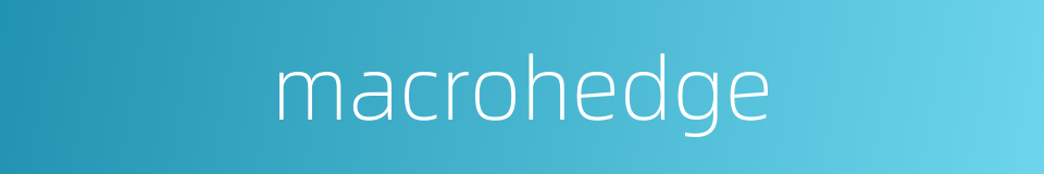 macrohedge的同义词