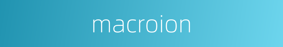 macroion的同义词