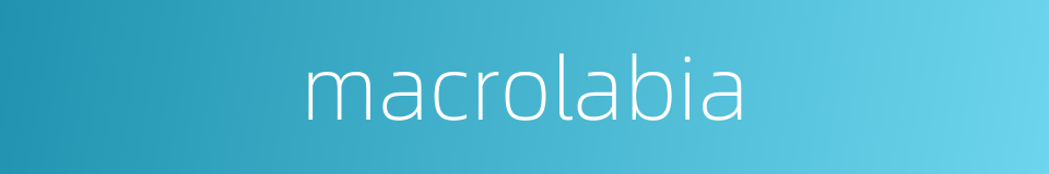 macrolabia的同义词