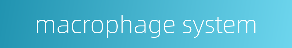 macrophage system的同义词