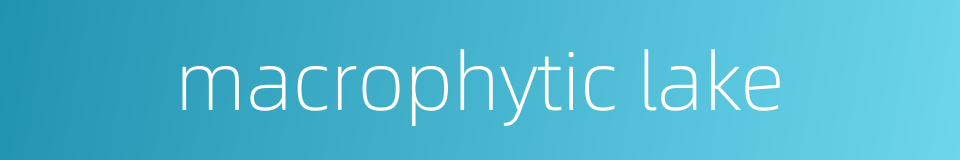 macrophytic lake的同义词