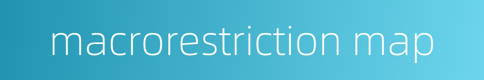 macrorestriction map的同义词
