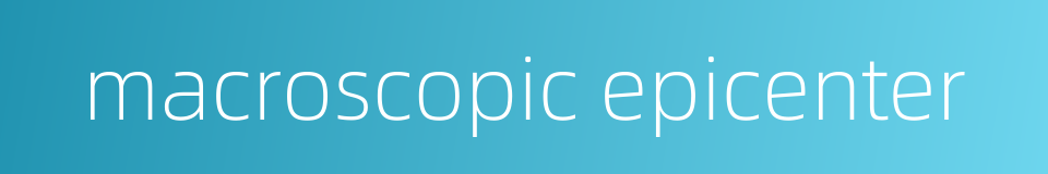 macroscopic epicenter的同义词
