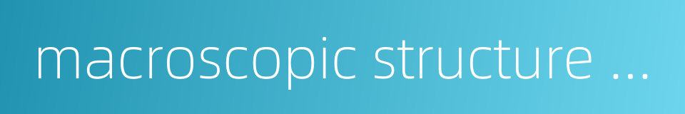 macroscopic structure inspection of metal的同义词