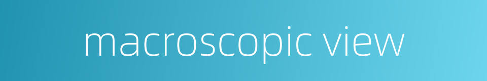 macroscopic view的同义词