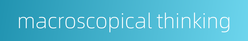 macroscopical thinking的同义词
