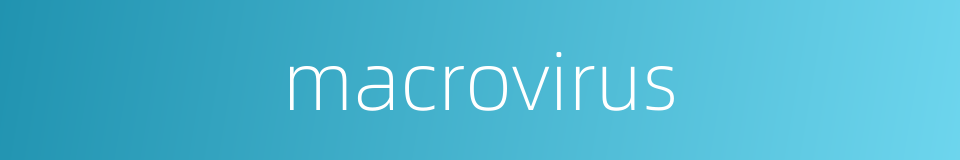 macrovirus的同义词
