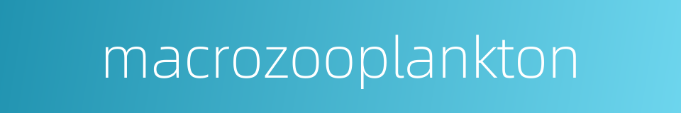 macrozooplankton的同义词