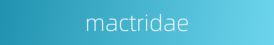 mactridae的同义词