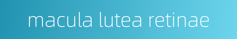 macula lutea retinae的同义词